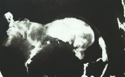 Imprint of a dog | 1988 | 52 x 33 cm | Photo aquatint | ed. 1