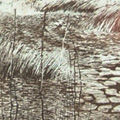 Narrative Landscape