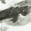 Untitled (Jonkershoek)