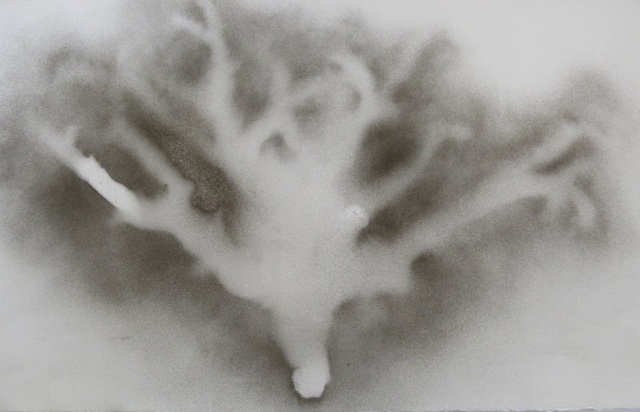 Boesmankers, metal powder on paper, 2014, 75 x 55cm